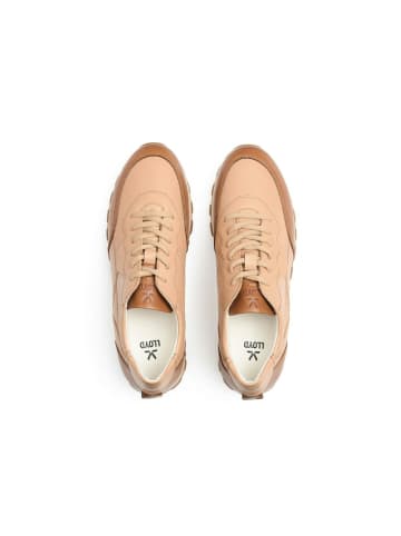 LLOYD Sneaker für Damen in braun