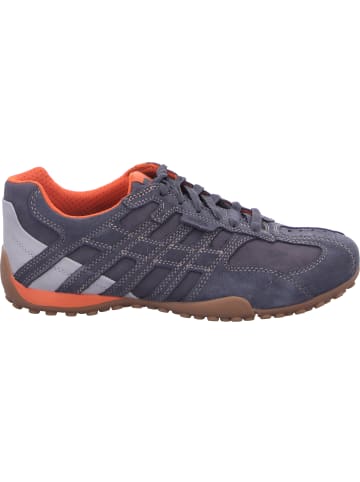 Geox Schnürschuh in grau