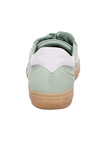 Andrea Conti Sneaker in grün
