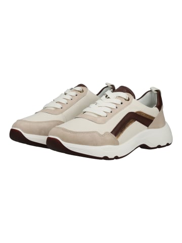 ara Sneaker in Beige/Mocha