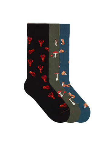 von Jungfeld Motivsocken Seasonal Icon Bundle in Lobster/Mushroom/Fox