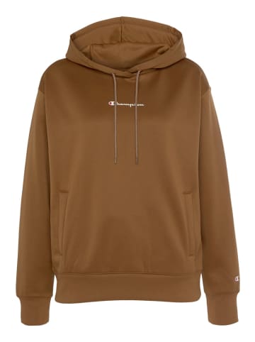 Champion Hoodie Hooded Sweatshirt in Braun