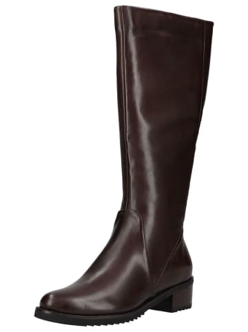 Everybody Stiefel BRISA in Kastanie