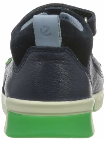 Ecco Schuhe für Jungen in blau