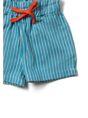 Little Green Radicals By The Sea Shorts in Blau