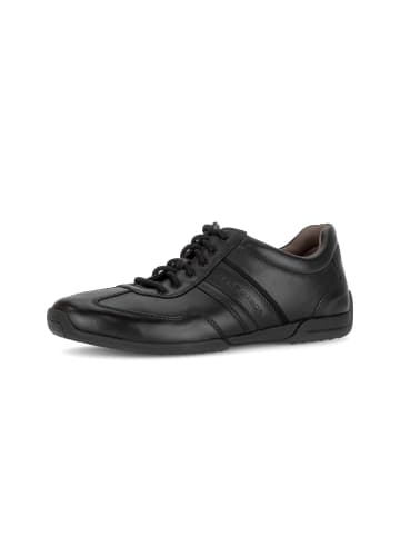 Pius Gabor Sneaker low in schwarz