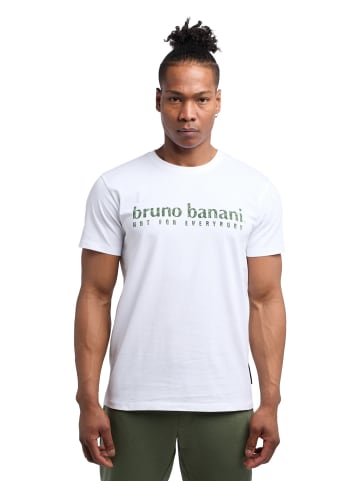 Bruno Banani T-Shirt Abbott in Weiß / Grün