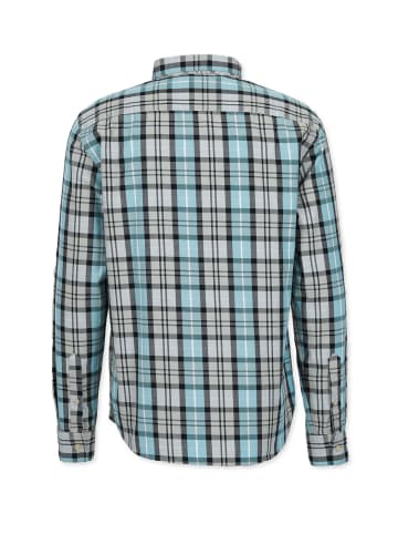HONESTY RULES Shirt " Basic Check " in arctic-blue