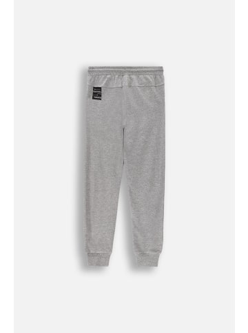 Coccodrillo Jogginghose in grau