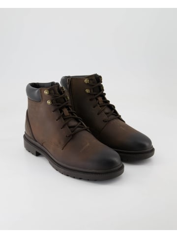 Geox Stiefeletten in Braun