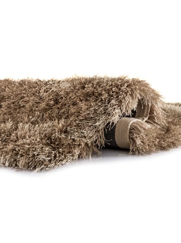 44 Cats 1 Teppich Sofia Polyshaggy-1515-beige 200/290 cm in beige