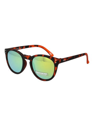 Skechers Männer Sonnenbrille Panto Havanna