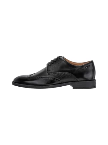 JOOP! Lace Up 'Pero Casper Brogue in Schwarz'
