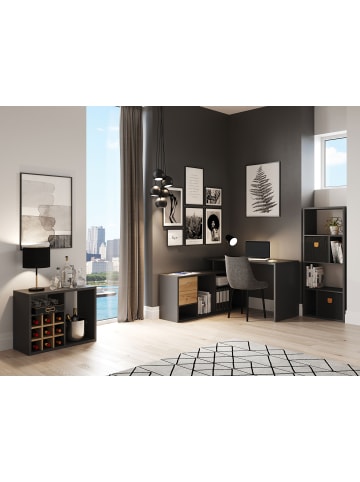 Phoenix Group AG  Fortuna - SET , Regal mit 6 Fächern inkl. grau