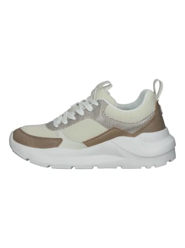 Bullboxer Sneaker in Beige/Braun