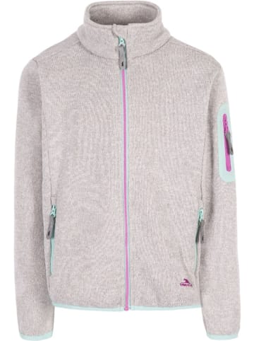 Trespass Kinder Fleecejacke/Fleecepullover in Grau