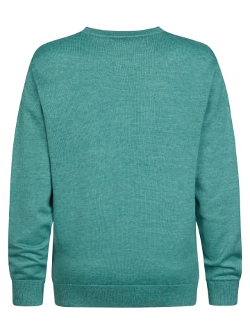 Petrol Industries Feinstrick-Pullover mit Rundhals millshore in Grün