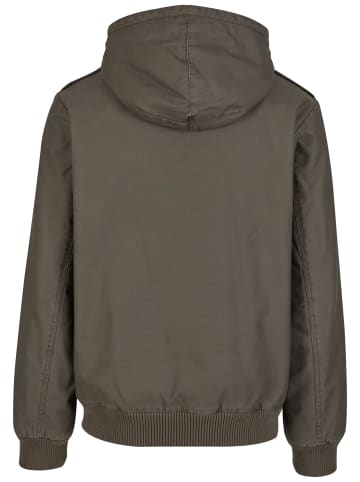 Brandit Brandit Winterjacken in olive
