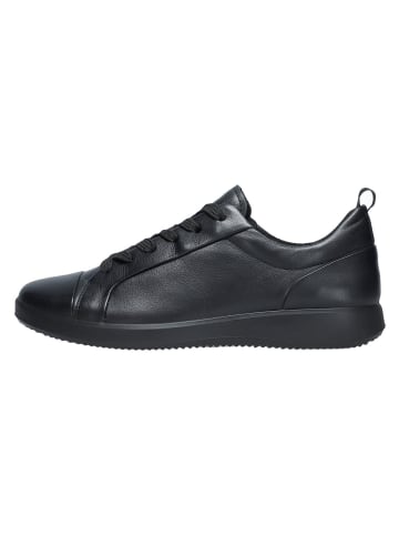 ara Komfort Schnürschuh in schwarz
