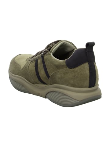 Xsensible Sportliche Schnürschuhe in Beige