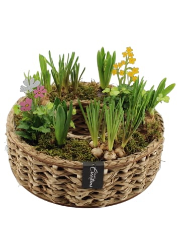 MeinVIPShop Wunderschönes rundes Arrangement aus bunten Frühlingsblumen 33cm