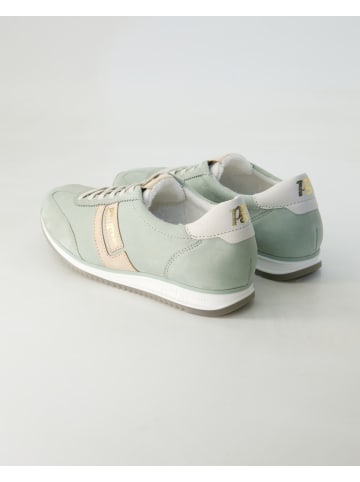 Paul Green Sneaker low in Grün