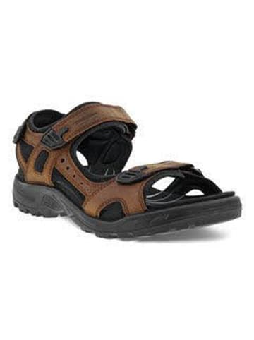 Ecco Outdoorsandalen OFFROAD in sierra