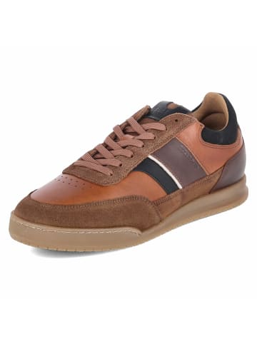 Bullboxer Low Sneaker in braun