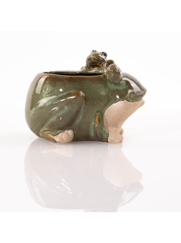 PROGARDEN Blumentopf in mehrfarben