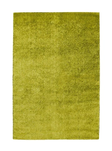 Arte Espina Hochflor Teppich Swing 810 in hellgrün - rechteckig