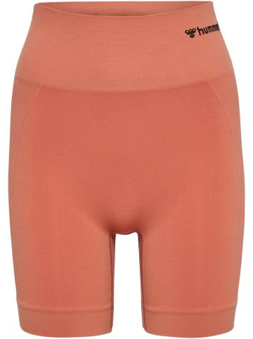 Hummel Shorts Hmltif Seamless Shorts in APRICOT BRANDY
