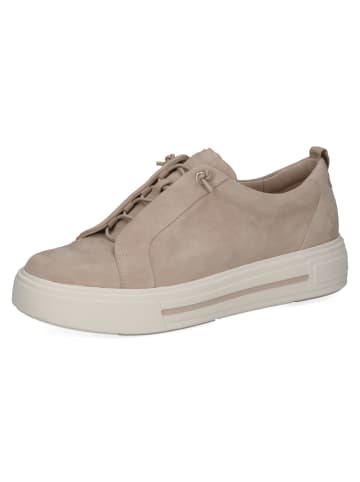 Caprice Plateau Schnürschuhe in Beige