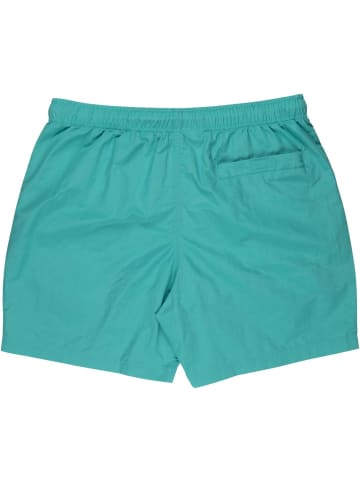 Santa Cruz Badeshort "Classic Dot Swimshort" in Blau