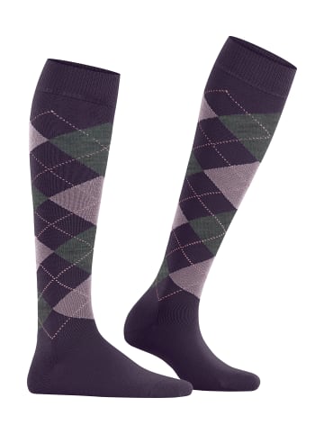Burlington Marylebone Kniestrumpf in Wineberry