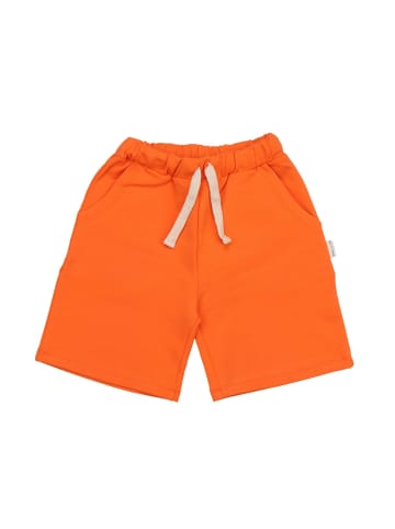 Walkiddy Shorts Orange Orange-Shorts