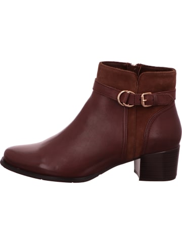 Regarde le Ciel Stiefel in braun