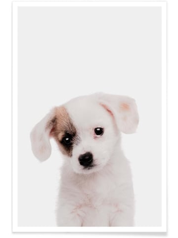 Juniqe Poster "Puppy" in Braun & Weiß