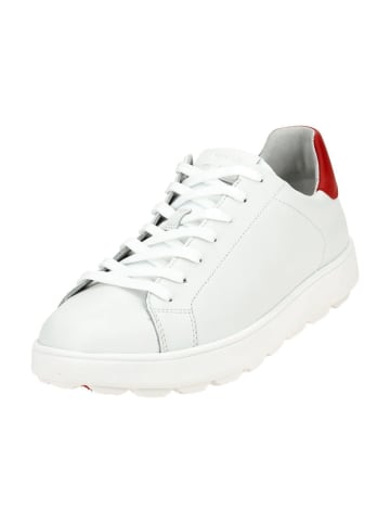 Geox Sneaker Low in Weiß
