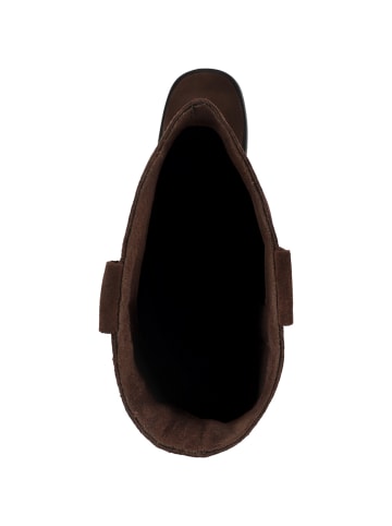 Steve Madden Stiefel Banner in dunkelbraun