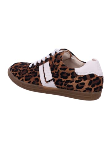 Paul Green Sneaker Low in braun