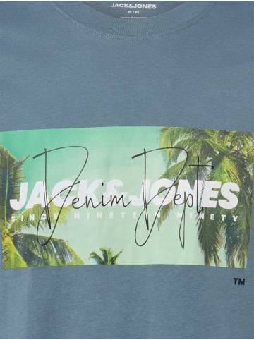 Jack & Jones T-Shirt JJIndiana in grau