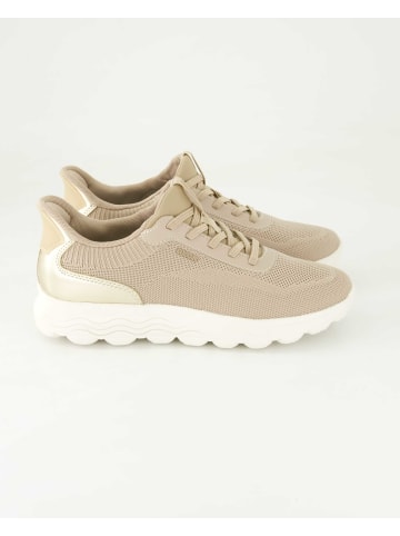 Geox Sneaker low in Beige
