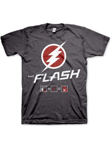 DC Flash T-Shirt in Grau