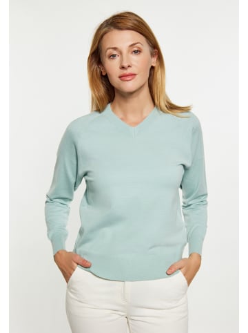 usha BLUE LABEL Pullover in MINT