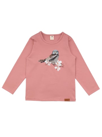 Walkiddy Langarmshirt Owl Friends - Baumwolle (Bio)