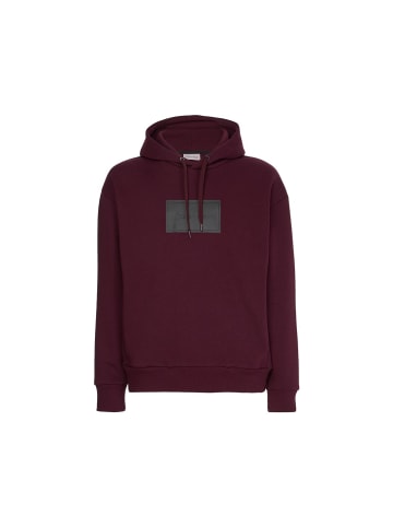 Calvin Klein Sweatshirt in passion plum
