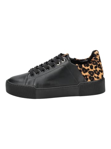 Högl Sneaker Schwarz Kombi