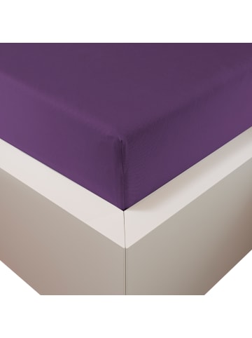 Traumschloss Premium Plus Edel-Jersey Spannbettlaken in violett