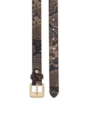 Kazar Gürtel in Beige