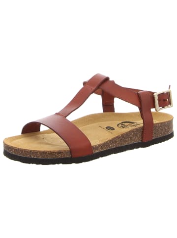Plakton Sandalen in braun